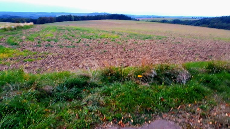 A wide, brown field landscape with green grass edges. In the background, gentle hills and a gray sky can be seen.