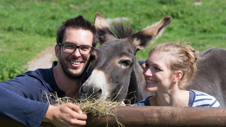 Ein Mann und eine Frau stehen an einem Zaun und füttern einen Esel mit Heu. Es ist ein sonniger Tag auf einer grünen Wiese.