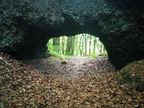 Ein natürlicher Tunnel aus Fels mit Laub am Boden. Im Hintergrund sind grüne Bäume sichtbar.