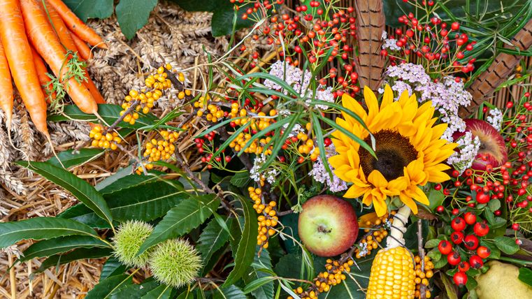A colorful autumn bouquet with sunflowers, apples, and various grasses. Carrots and other colorful fruits are also visible.