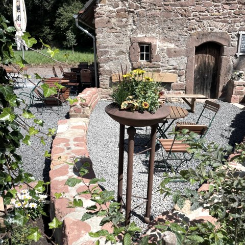 Sommer Blumen, &copy; Susanna Schoos