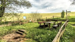 Picknickplatz am Steffelner Drees, &copy; Eifel Tourismus GmbH, Dominik Ketz
