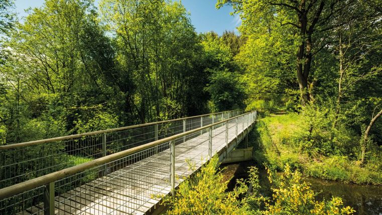 Eine Holzbrücke führt durch einen grünen Wald. Die Bäume sind üppig und die Sonne scheint.