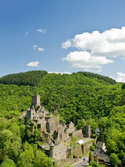 Blick auf die Ruine der Niederburg Manderscheid