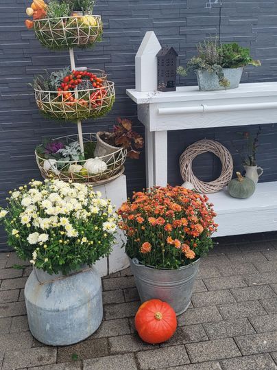 A beautiful garden area with various flower pots and colorful plants. In the foreground, there is an orange pumpkin and two large pots with flowers.