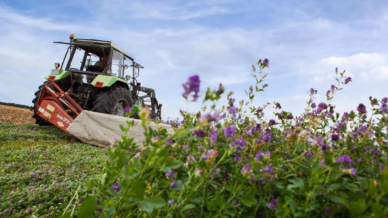 Ein Traktor arbeitet auf einem Feld, umgeben von blühenden Pflanzen. Der Himmel ist leicht bewölkt und bietet eine entspannte Atmosphäre.
