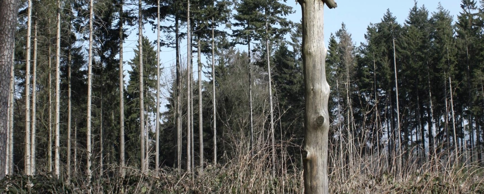 Erlebnispunkt 5 "Galgen", &copy; GesundLand Vulkaneifel GmbH