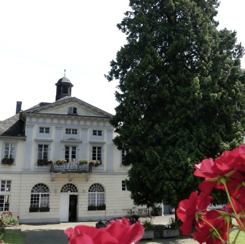 Kurf&uuml;rstliches Schl&ouml;&szlig;chen Bad Bertrich_Lebensbaum, &copy; GesundLand Vulkaneifel GmbH