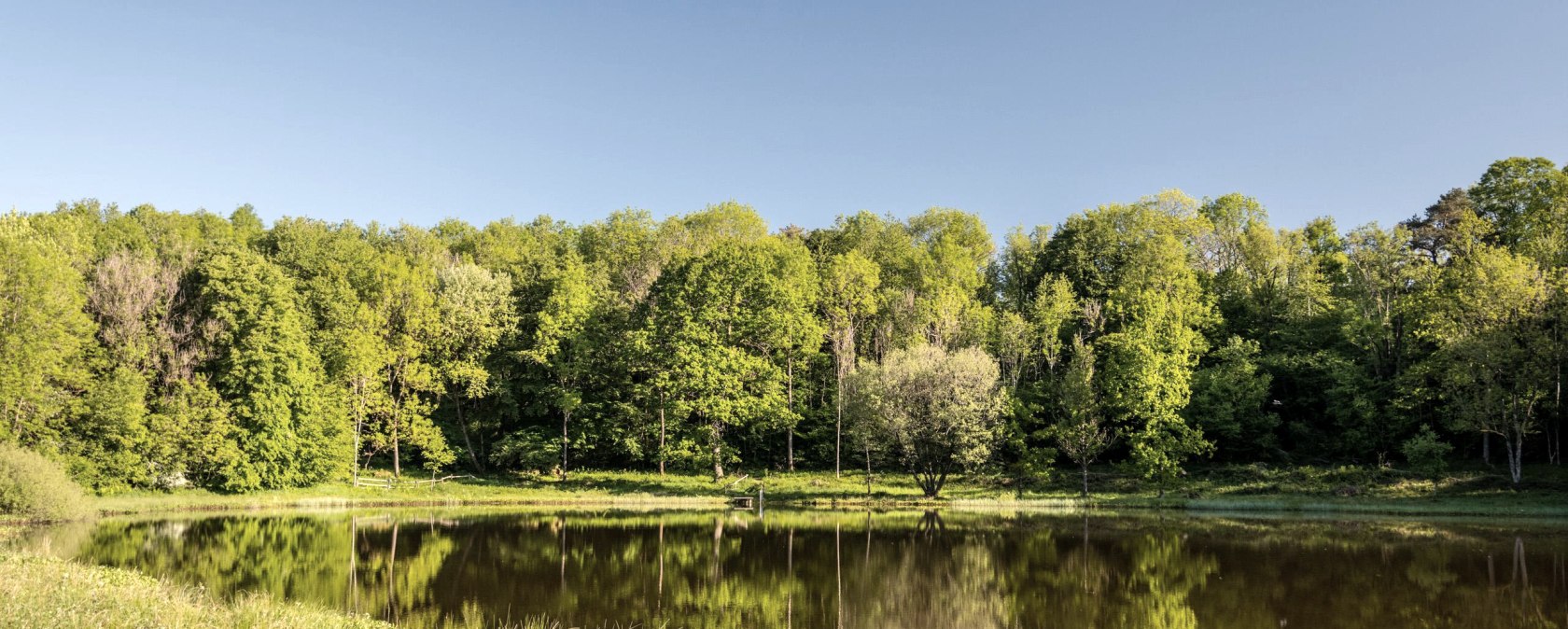 Windsborn Kratersee, © GesundLand Vulkaneifel GmbH/D. Ketz