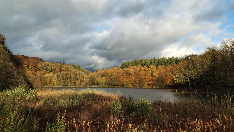 A serene lake surrounded by colorful autumn trees. The sky is cloudy with rays of light shining through the clouds.