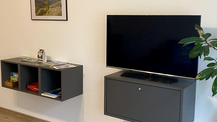 Ein moderner Wohnraum mit einem Fernseher an der Wand. Auf der linken Seite befindet sich ein Regal mit einigen Zeitschriften und einem Pflanzenbehälter.