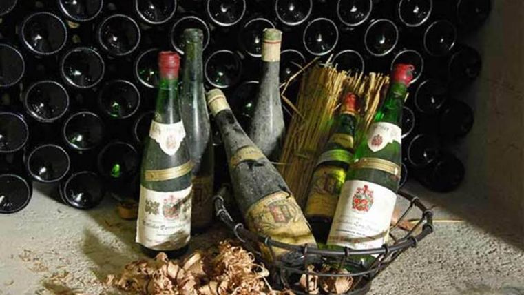 A selection of old wine bottles in a basket, surrounded by grapevines. In the background, more bottles are visible.
