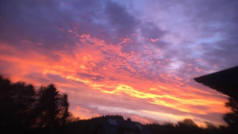 Ein farbenfroher Sonnenuntergang mit orange- und lilafarbenen Wolken. Im Vordergrund sind Silhouetten von Bäumen und Gebäuden zu sehen.