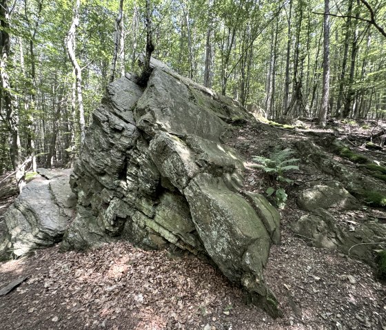 IMG_6657, &copy; Rureifel-Tourismus e.V., Dennis Winands