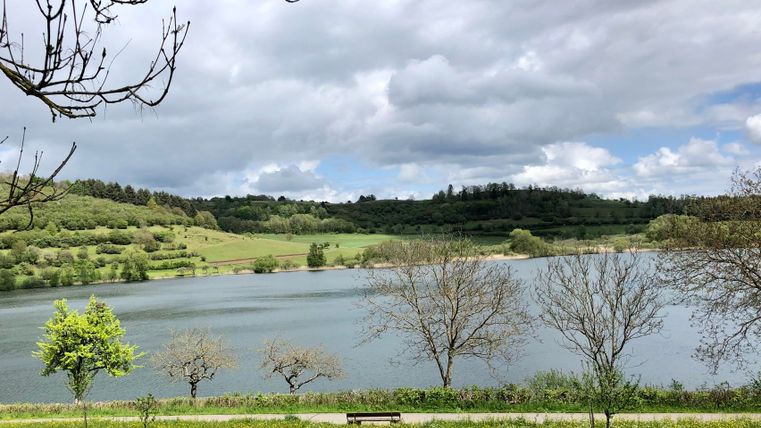 Een rustige meer omgeven door groene weilanden en bomen. De lucht is bewolkt en het is een vredig landschap.