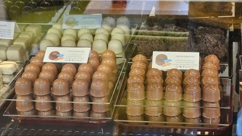 Een selectie van chocoladebonbons in verschillende vormen en kleuren. De bonbons zijn netjes in vitrines gepresenteerd en nodigen uit om te proeven.
