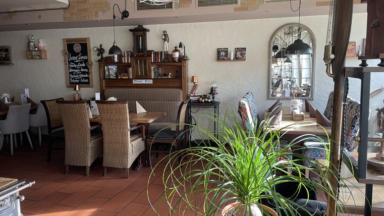 Ein gemütliches Restaurant mit Tischen und Stühlen. Eine große Pflanze steht im Vordergrund und es gibt dekorative Elemente an den Wänden.