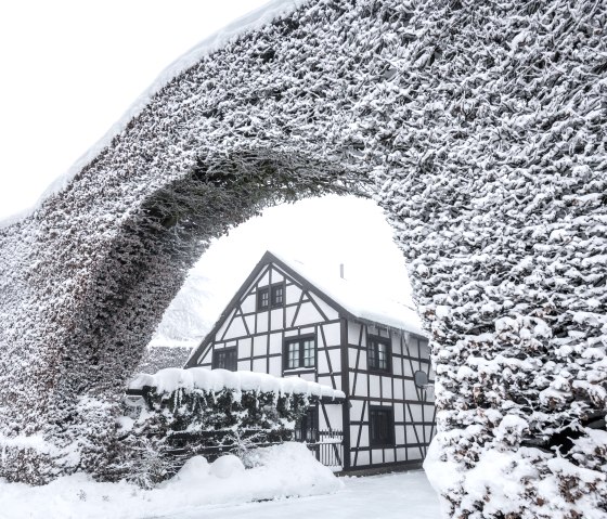 Monschauer Heckenlandschaft im Winter, &copy; Eifel Tourismus GmbH | Dominik Ketz