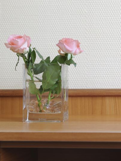 Zwei rosa Rosen in einer klaren Vase. Die Vase steht auf einem Holzregal.