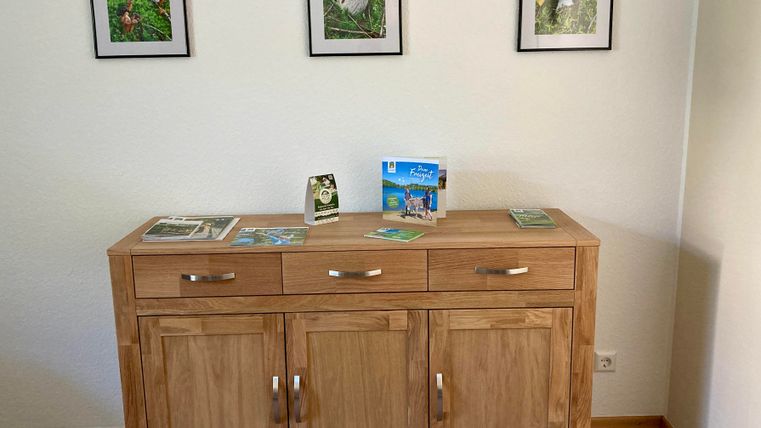 Ein Holzmöbelstück mit Schubladen steht an einer Wand. Darüber hängen drei Bilder von Pilzen, und auf dem Möbel liegen einige Broschüren und Postkarten.