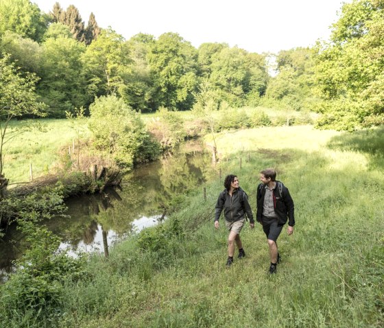 Salmtal near Großlittgermühle on the Eifelsteig trail, © Eifel Tourismus GmbH, D. Ketz