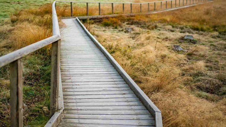 Ein Holzsteg führt durch eine grüne, natürliche Landschaft. Im Hintergrund sind trockenes Gras und ein ruhiger Himmel zu sehen.