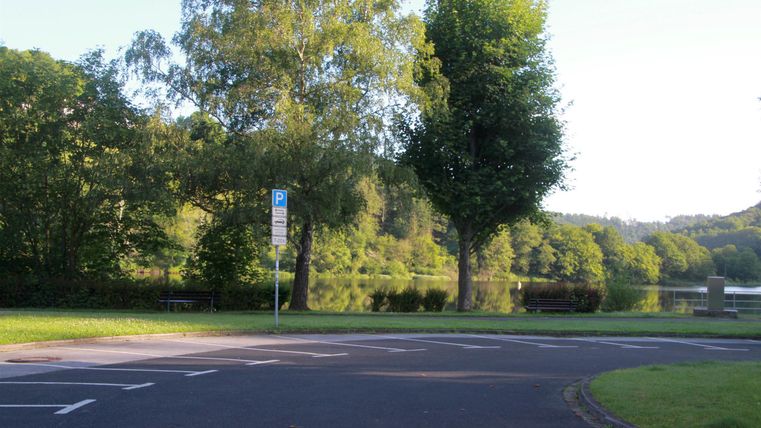 A tranquil park landscape with green trees and a gentle roadway. In the background, a lake can be seen reflecting the nature.