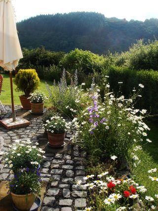 Ein schöner Garten mit blühenden Pflanzen und bunten Blumen in Töpfen. Im Hintergrund sind sanfte Hügel und ein blauer Himmel zu sehen.