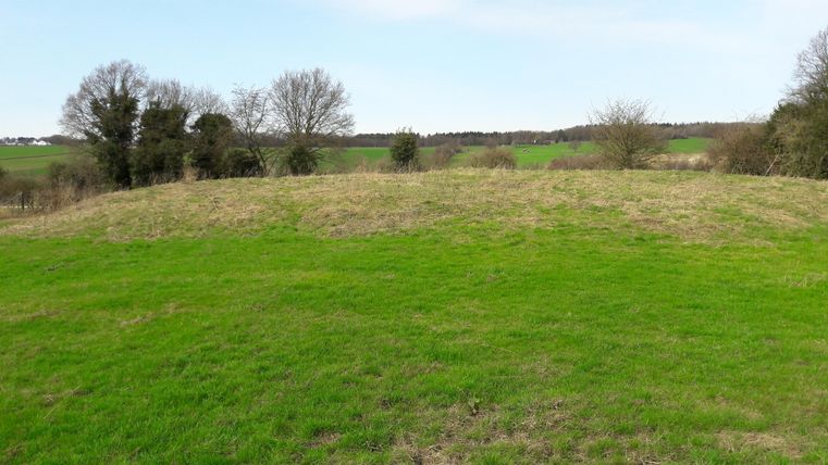 Een groene weide met zachte heuvels en sporadische bomen op de achtergrond. De lucht is helder en blauw.