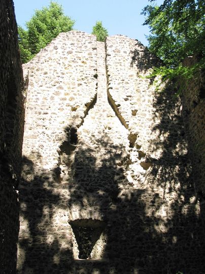 Ruins of an old wall in a forest. Light and shadow play on the stones of the structure.