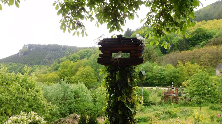 Ein ruhiger Garten mit üppigem Grün und einem kleinen Vogelhaus. Im Hintergrund sind sanfte Hügel zu sehen.