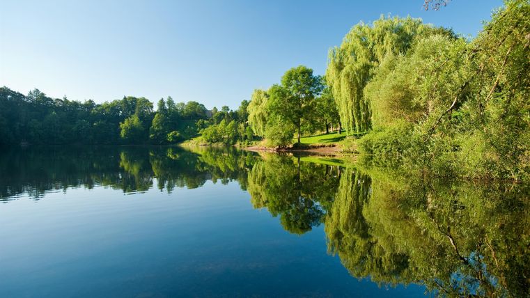 A tranquil lake surrounded by green trees and a radiant sky. The reflection of the shore in the water is clearly visible.