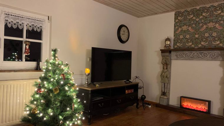 A cozy room with a Christmas tree adorned with lights. In the background, there is a television and an electric fireplace.