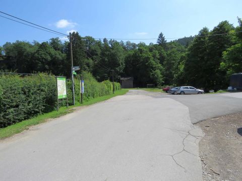 Eine ruhige Straße mit viel Grün und Bäumen. Im Hintergrund sind einige parkende Autos sichtbar.