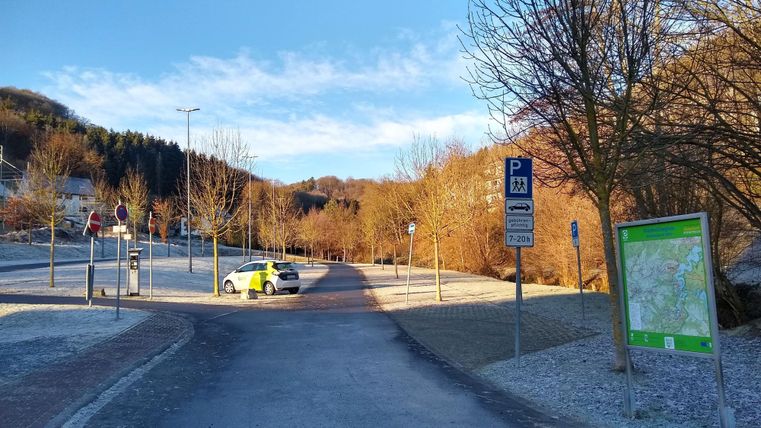 Een parklandschap met kale bomen en een blauwe lucht. Een politieauto staat langs de weg.