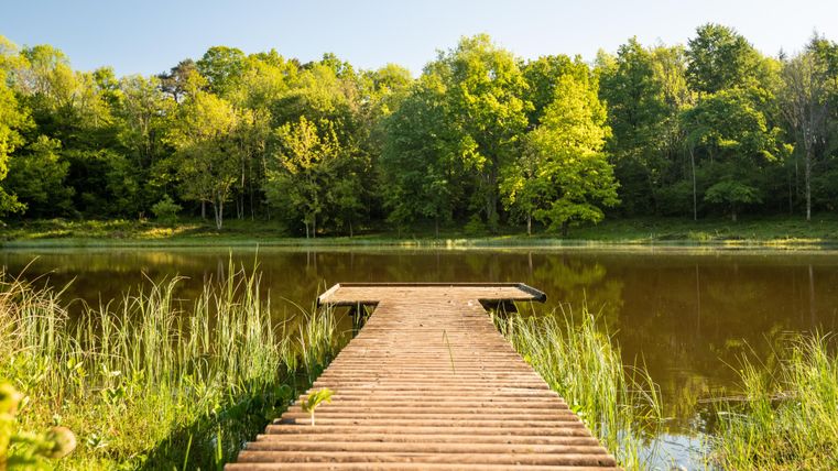 Ein Holzsteg führt zu einem ruhigen Teich, umgeben von üppigem Grün und Bäumen. Der Himmel ist klar und die Szene strahlt Frieden aus.