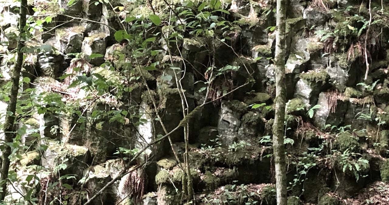 Wolfsschlucht Basalts&auml;ulen, &copy; GesundLand Vulkaneifel GmbH