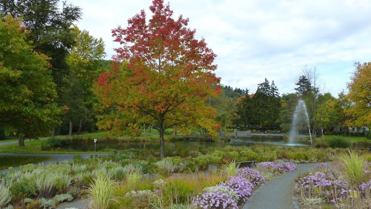 Een mooi park met kleurrijke bomen en een vijver. Op de achtergrond spuit een fontein en het landschap is versierd met bloemen.