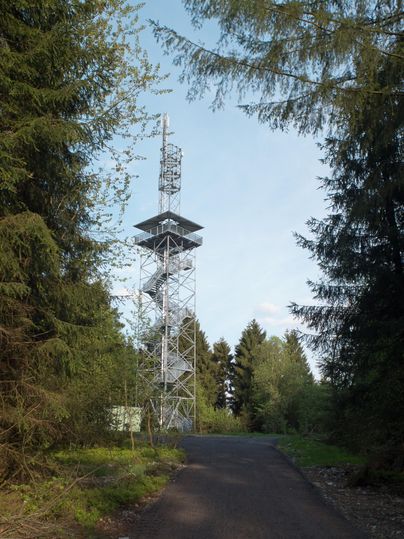 A transmission mast stands at the end of a narrow path, surrounded by tall trees. The sky is clear and blue.