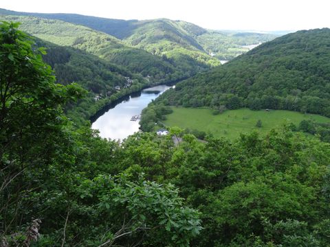 Eine malerische Aussicht auf einen Fluss, umgeben von dichten, grünen Wäldern und sanften Hügeln. Der Himmel ist klar und die Landschaft vermittelt ein Gefühl von Ruhe.