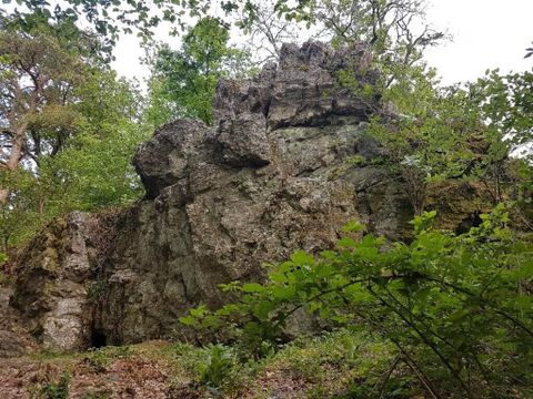 Een grote rots te midden van groene bomen. De omgeving is natuurlijk en weelderig begroeid.