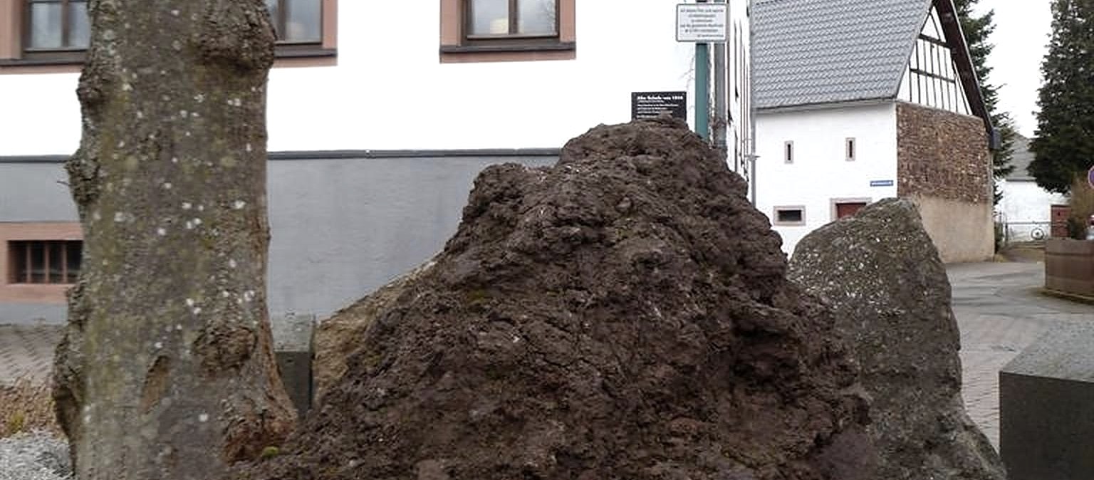 Mausefallenmuseum Neroth (1), © H. Wallenborn
