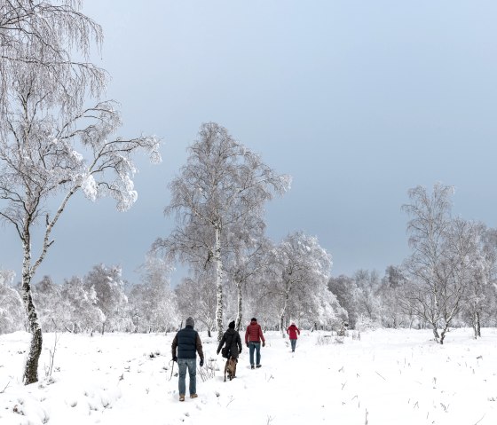 Winter hiking on the Struffeltroute, © Eifel Tourismus GmbH, D. Ketz