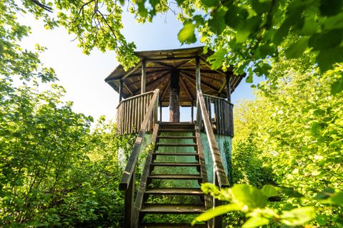 Ein Aussichtsplattform aus Holz, umgeben von dichten grünen Pflanzen. Die Treppe zum Plattform ist gut sichtbar und führt in eine ruhige, natürliche Umgebung.