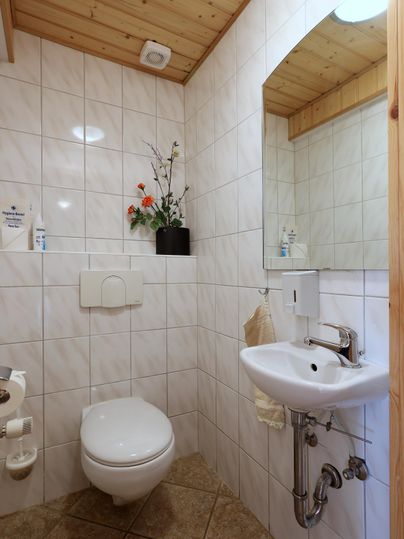 A small, modern bathroom with white tiles and a wooden ceiling. It contains a toilet, a sink, and some plants for decoration.