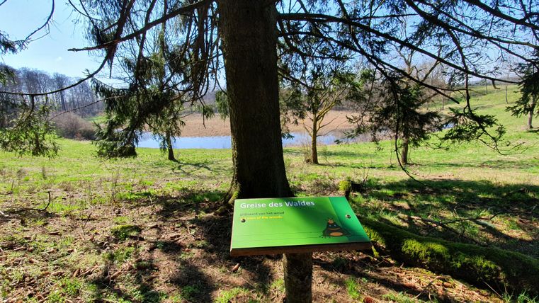 Ein Schild unter einem Baum in der Natur. Im Hintergrund ist ein See und eine grüne Wiese zu sehen.