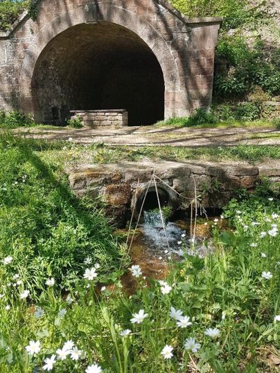 Ein hübscher Brunnen mit blühenden Wiesen rundherum. Im Hintergrund ist ein gewölbter Eingang zu sehen.