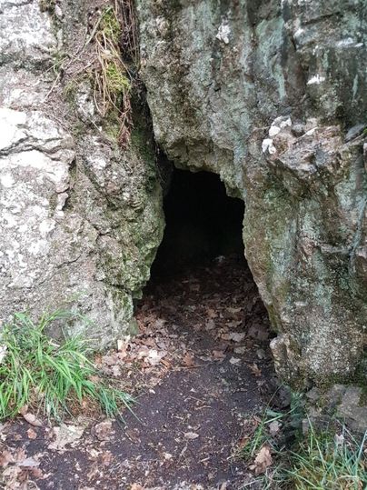 A natural cave entrance, surrounded by moss-covered rocks. The ground is covered with leaves and grass.