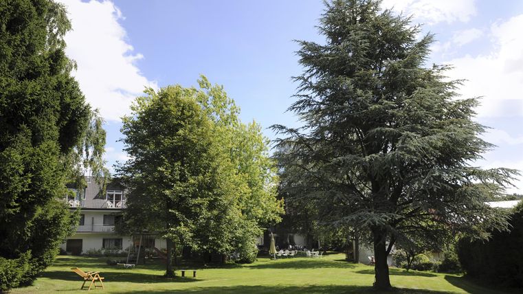 Ein schöner Garten mit großen Bäumen und grünem Rasen. Im Hintergrund ist ein Gebäude unter klarem, blauem Himmel sichtbar.