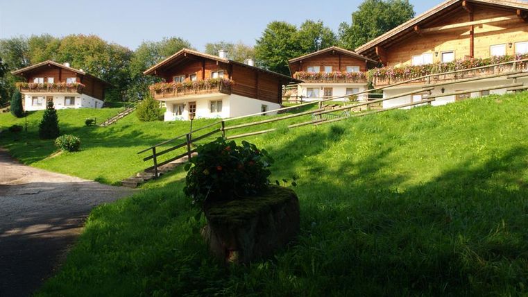 Schöne Holzhäuser auf einer grünen Wiese, umgeben von Bäumen. Ein ruhiger und einladender Ort in der Natur.